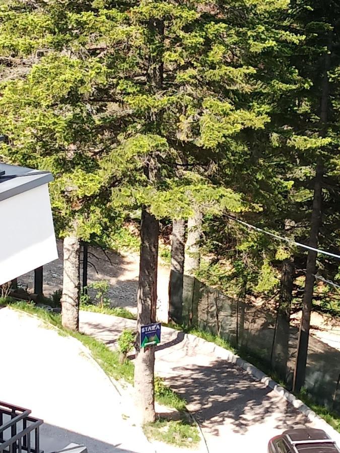 Апартаменты Apartman Bijela Белашница Экстерьер фото
